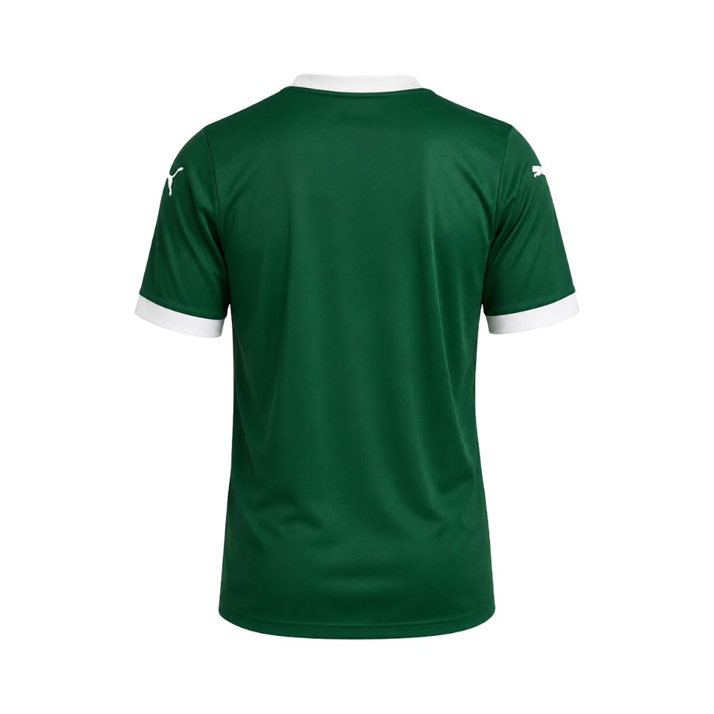 SE Palmeiras Camisola Principal - 25/26